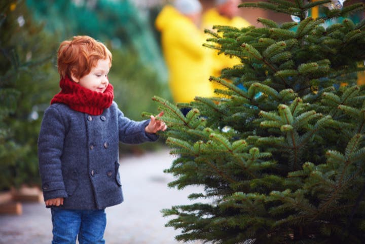 The Great Christmas Tree Debate: Real vs Artificial