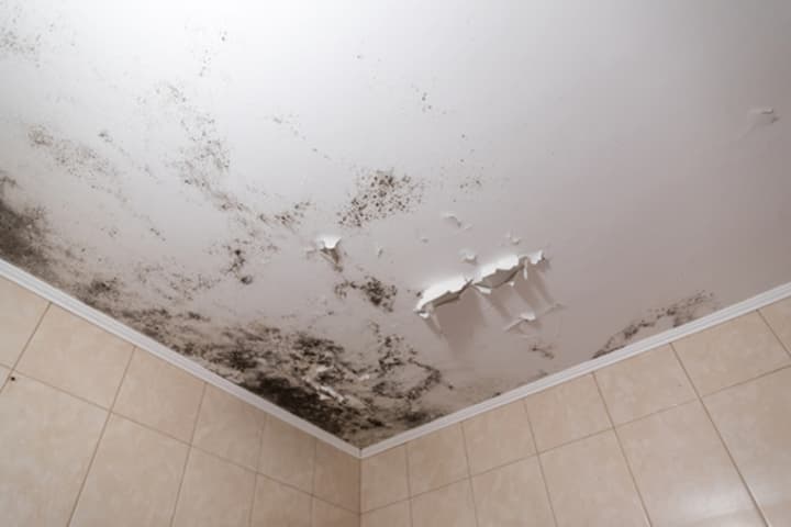 How to Get Rid of Mold on Ceilings