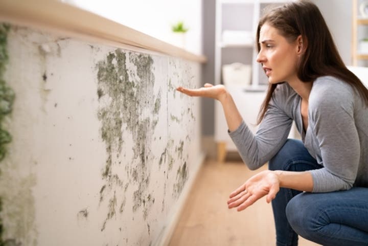 How to Know if There is Mold in Your Walls