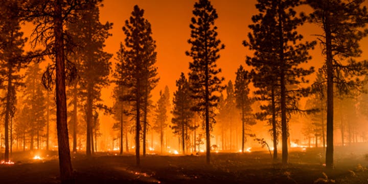 Prep Your Business for California Wildfire Season