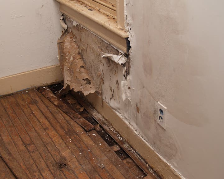 I Have Water Damage In My Wall, What Do I Do?