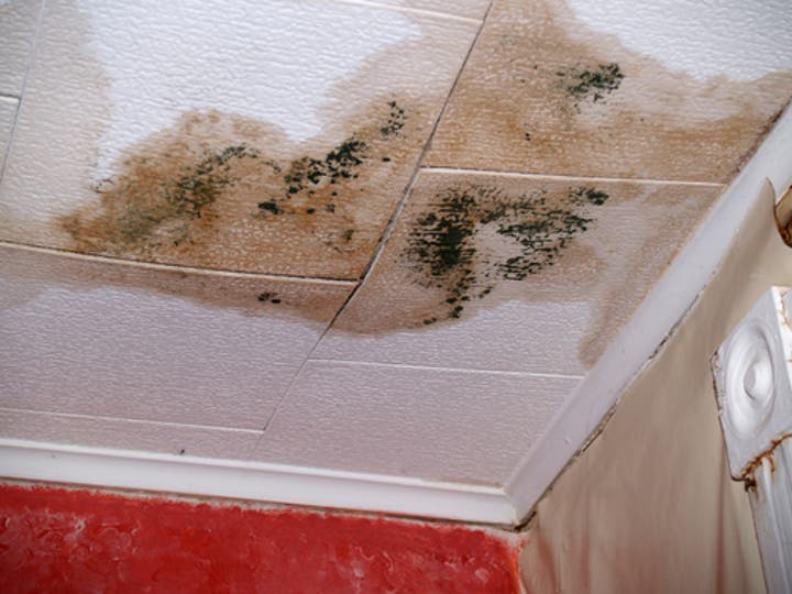 Signs of Ceiling Water Damage
