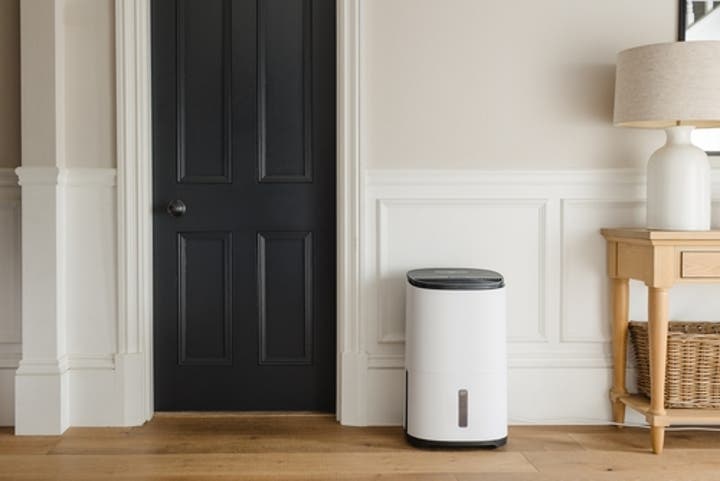 Air Purifier vs. Dehumidifier