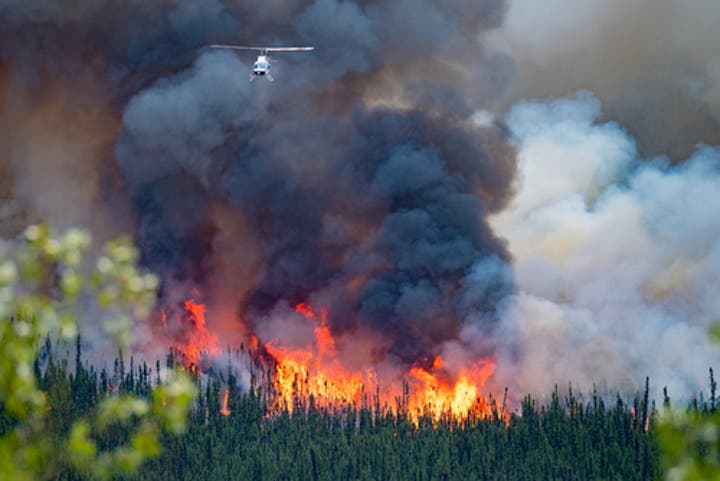 Canada Wildfires: 5 Things to Know About the Country's Most Destructive Wildfire Season on Record