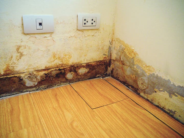 What Are The Signs of Water Damage In Walls?